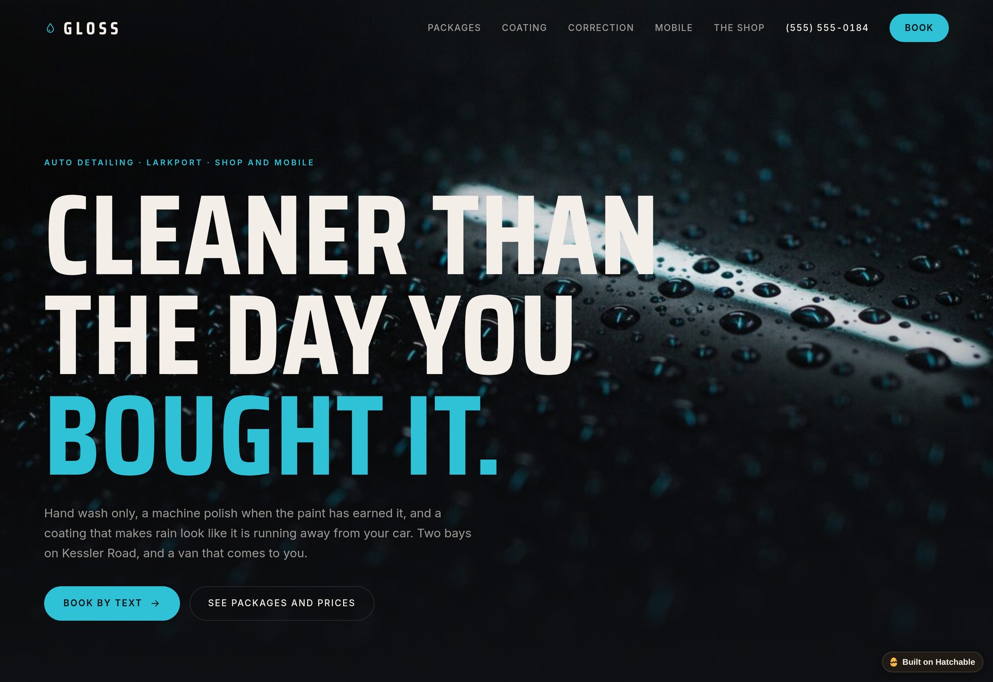 Gloss auto detailing website template — full design preview