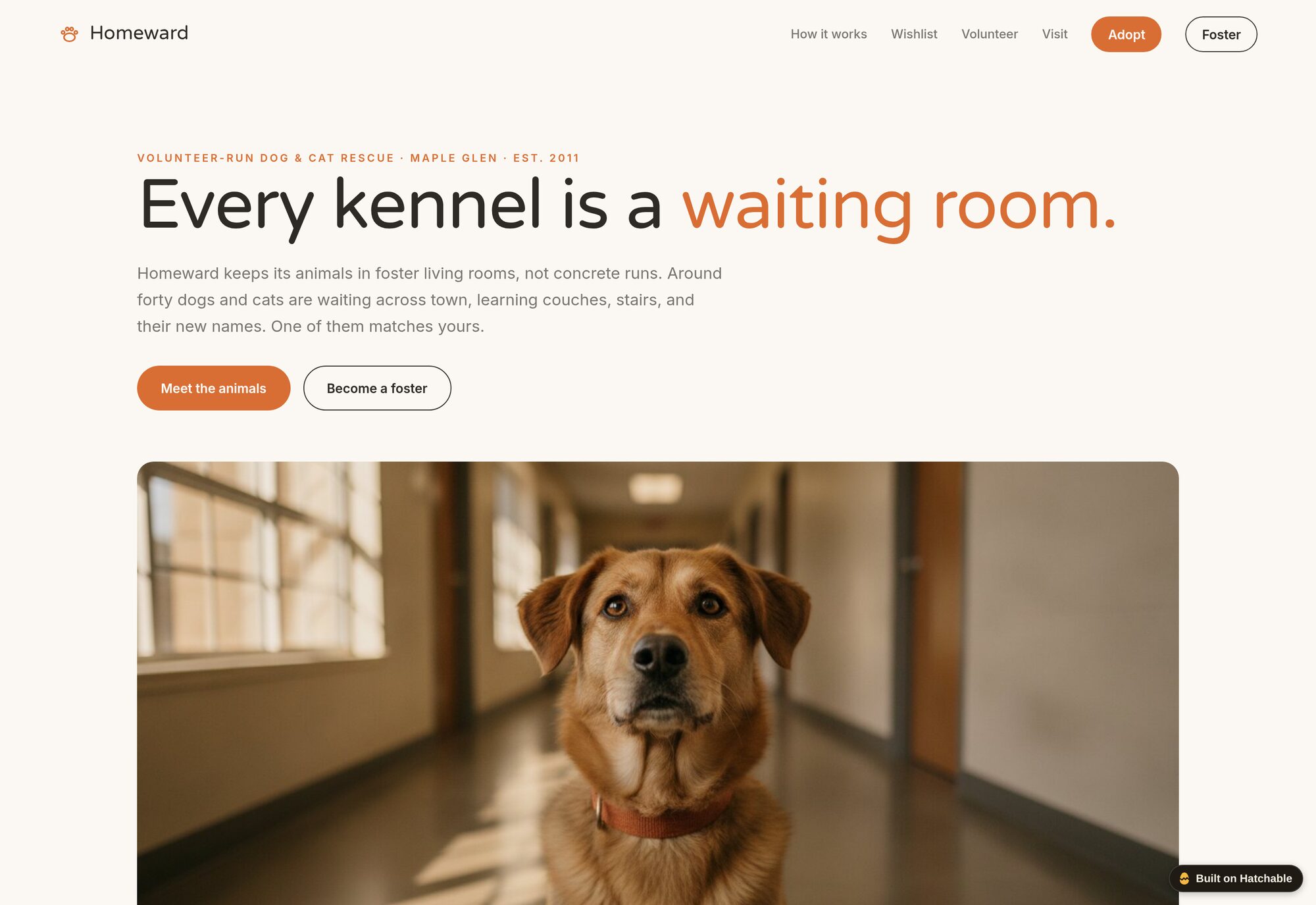 Homeward animal rescue website template — full design preview