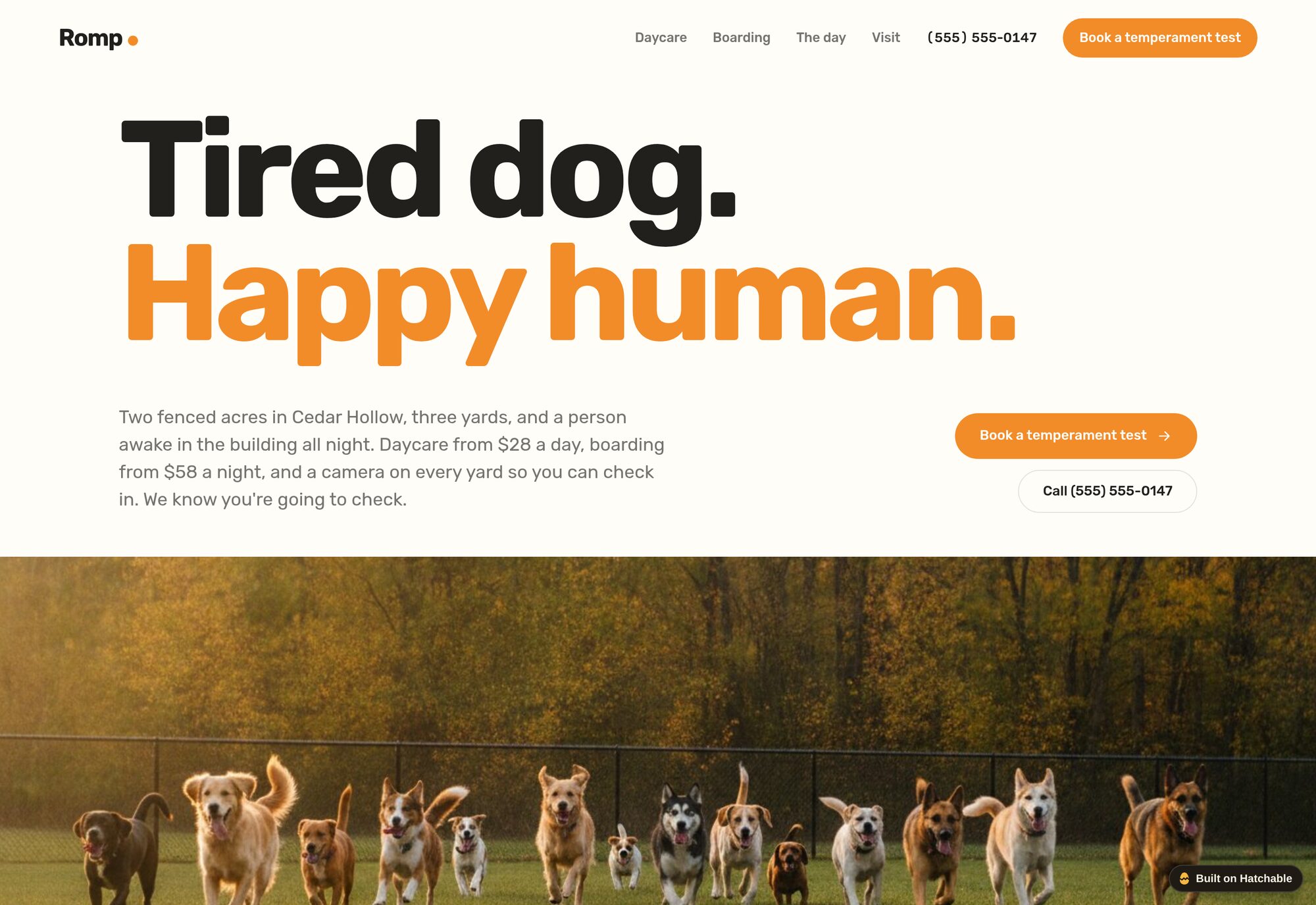 Romp dog daycare & boarding website template — full design preview