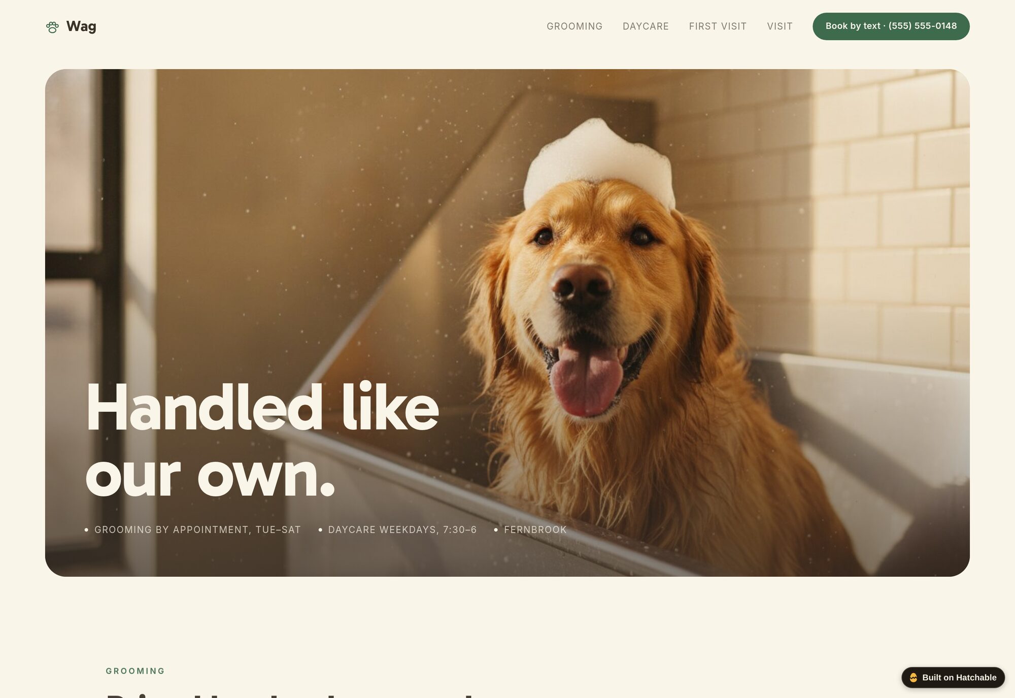 Wag pet grooming website template — full design preview